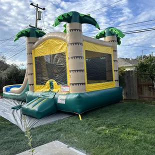 13x13x28 in the backyard