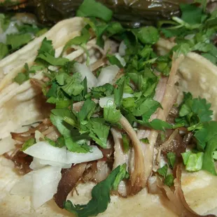 Close-up of carnitas taco.