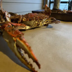 These claws