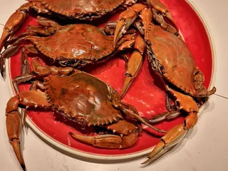 Cajun Crab Hut