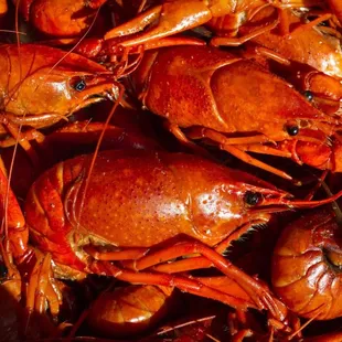Crawfish