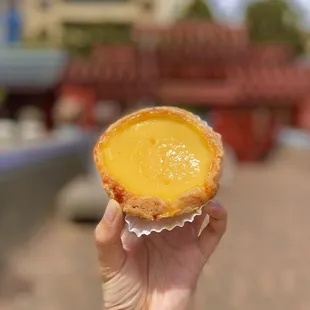 egg tart 蛋撻 (07/2023)