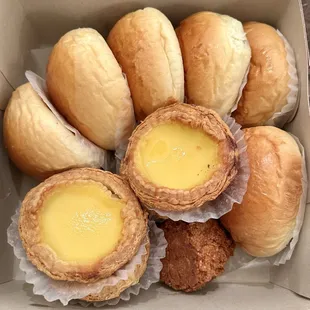 Egg Tarts &amp; Char Siu Bao