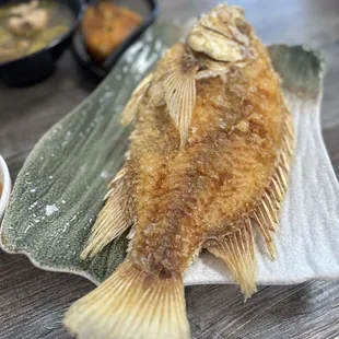 Tilapia