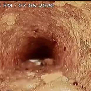 Sewer scope - infiltrating roots on the right side