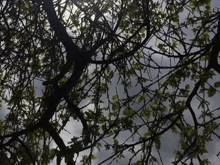 Ball Power Equipment