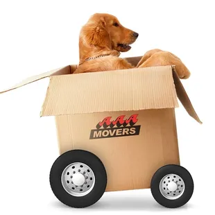 Full-Service Moving for the Whole family!