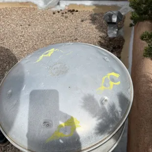 Evidence of Hail Damage.