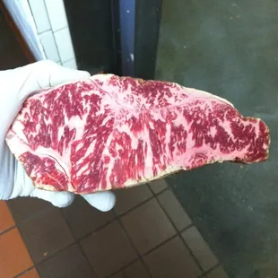 a hand holding a piece of meat