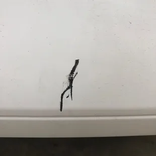 Nasty scratch that Aamco admitting to doing while our van was in their shop.