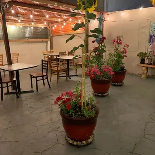 Outdoor Patio