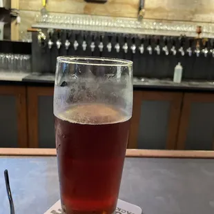 The Notorious F.I.G., best holiday beer in all of Jax!