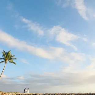 Danielle and Stephan  - Maui, HI wedding by Aaron Snow Photography