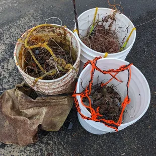 Today&apos;s trash haul, over 200 lbs!