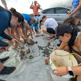 Sorting 120 lbs of Marine debris