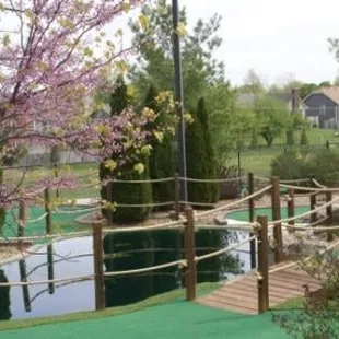 Aaron's Mini Golf
