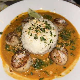 Red Curry