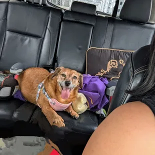 Bean goes in for his annual shots.