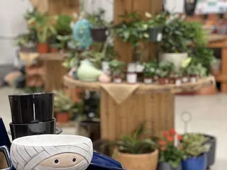 Zack's Big Tree Nursery