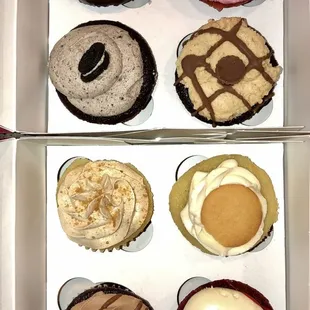 a dozen cupcakes in a box