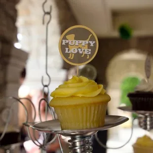 a lemon-licious cupcake