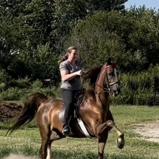 " Arya" and Chelcie ready to hit the show ring !