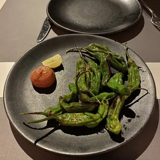 Grilled shishito peppers