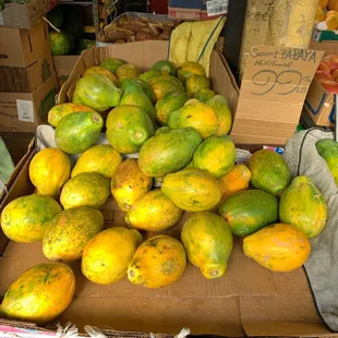 Locally grown papayas