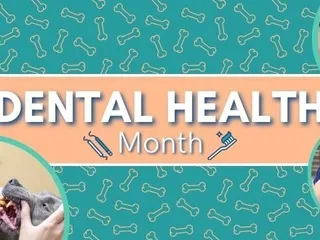 Rita Ranch Pet Hospital