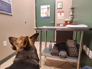 ABC Vaccination Clinic