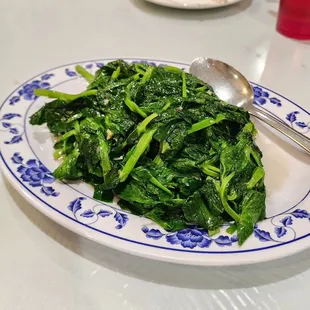 Snow Pea Leaves