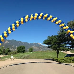 Annual Buddy Walk for Down Syndrome.