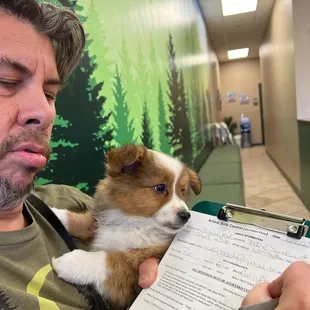 This is Roo reacting to the other dogs across the clinic.