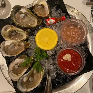 Oysters