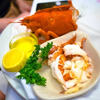 Maine Lobster