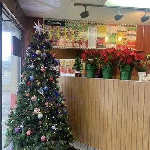 Order counter -no seating FYI