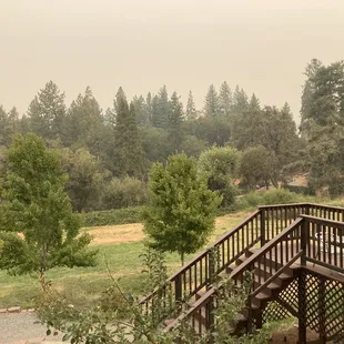 Look past the Smokey air... it's gorgeous here!!