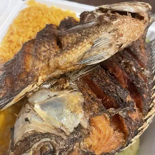 Fried Talapia with rice and beans