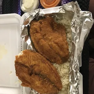 2piece tilapia w rice. $15 bucks!
