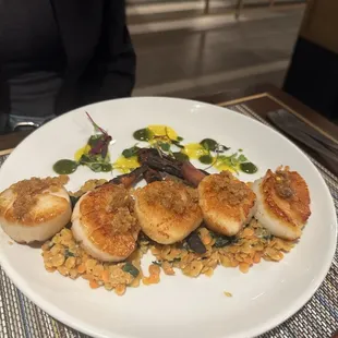 Scallops
