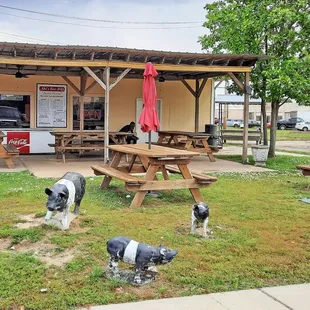 I liked the ambiance and the wild pigs