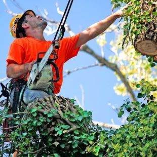 Abe's Lawn and Tree Service