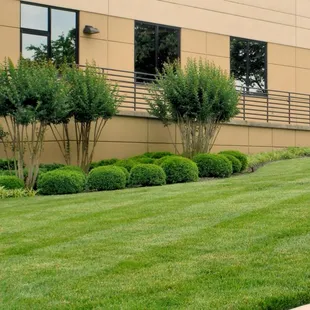 Commercial Property Maintenance