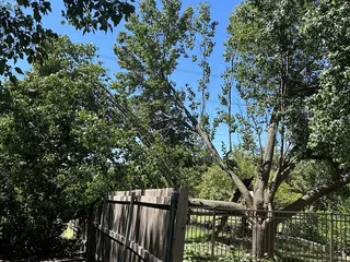 Wichita Tree Service
