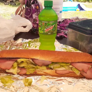 Whole Swinger sub and a 20oz Mt. DEW.