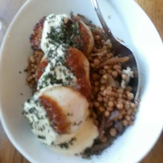 Scallop