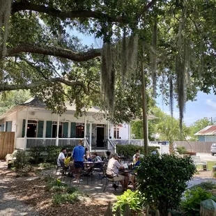 Eating under the oaks at Abita Roasting in Madisonville, LA.
