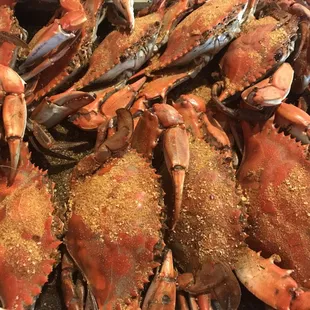food, oysters and mussels, mussels, shellfish, oysters