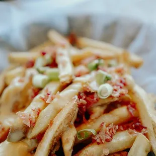 The Classic Loaded Fries!