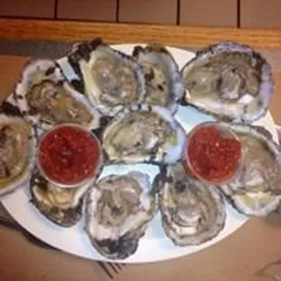 a plate of oysters